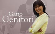 Gatto Genitori