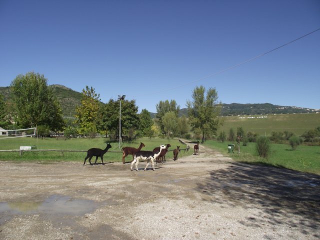photo.jpg