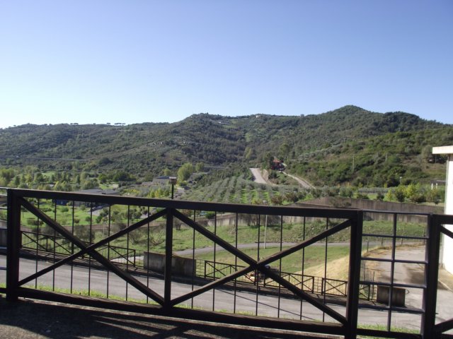 photo18.jpg