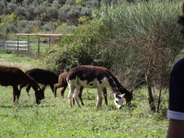 photo21.jpg