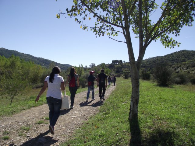 photo22.jpg