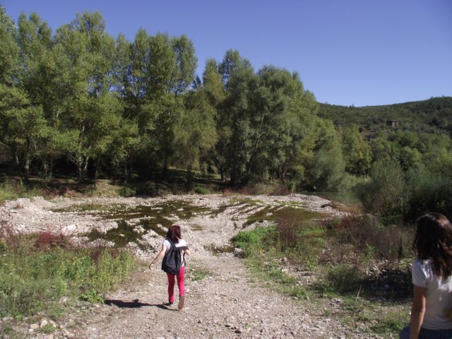 photo24.jpg