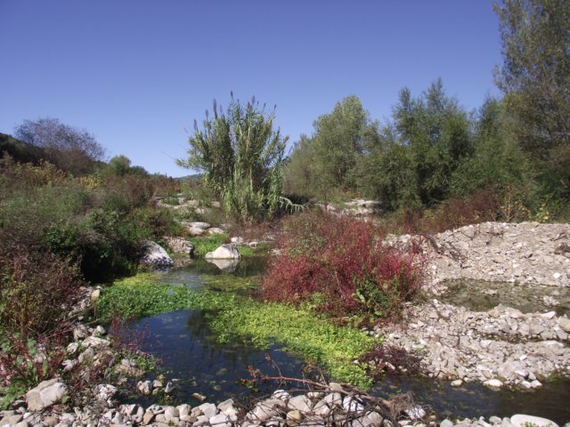 photo25.jpg