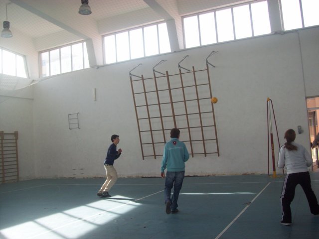 _1383.jpg